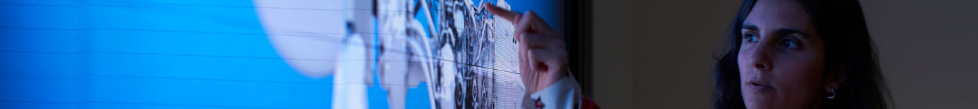 Bild zu Cyber Security Engineer